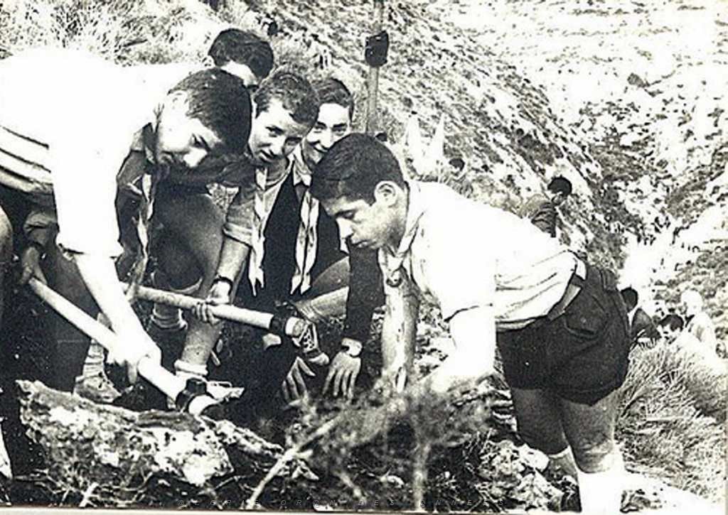 OPERATION DE REBOISSEMENT EN 1963 DU COTE DE LA SOURCE DE NOISEUX.JPG